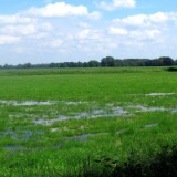 2406F 48 Papenb-Tostedt